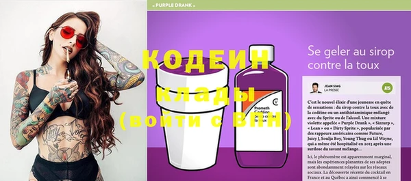 твердый Вяземский